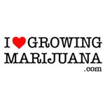 Logo for I Love Growing Marijuana