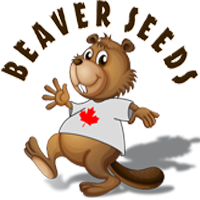 Logo for Beaver Seeds