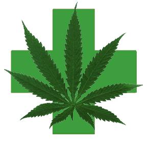 Logo for Medical Cannabis Australia