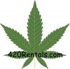 Logo for 420Rentals.com