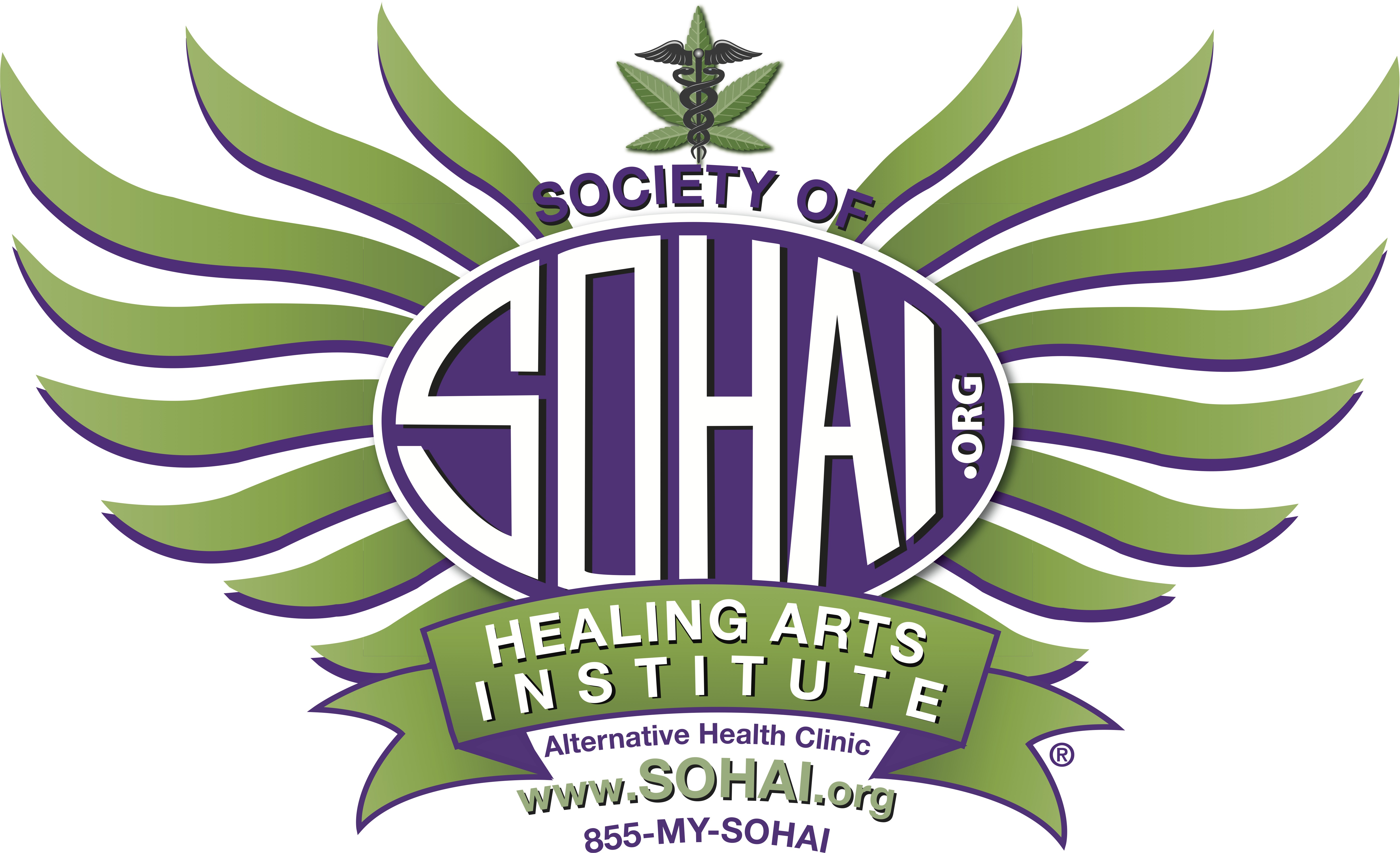 Logo for The Society of Healing Arts Institute (SOHAI)