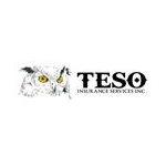 Logo for TESO Insurance Services