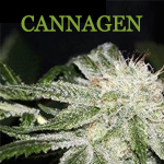 Logo for Cannagen LLC