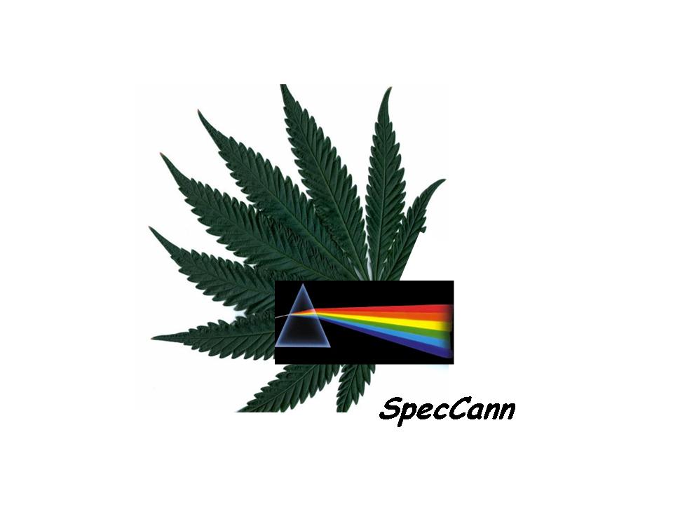 Logo for SpecCann International