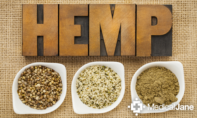 Understanding The Differences Between Hemp and Cannabis