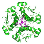 insulina