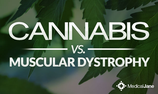 Cannabis Shows Promise for Treating Symptoms of Muscular Dystrophy