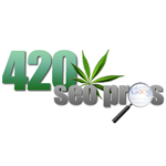 Logo for 420 SEO Pros