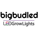 Logo for BigBud LED