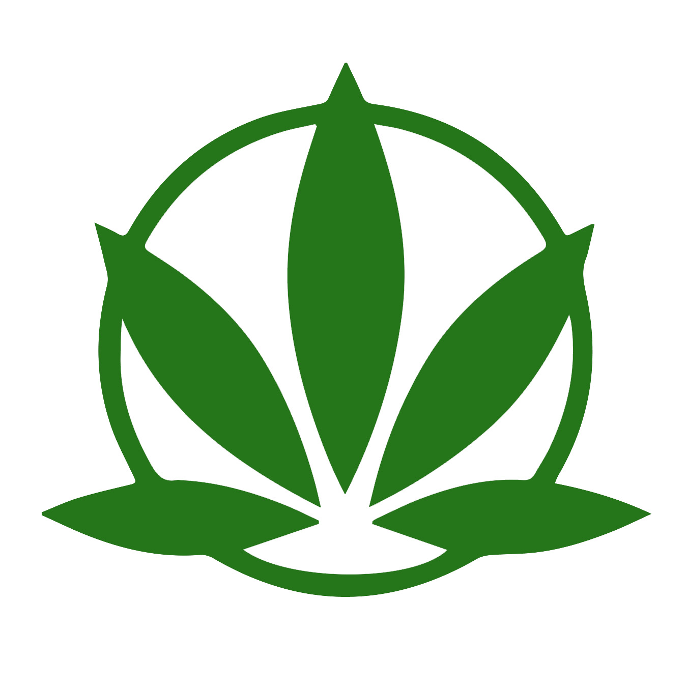 Logo for Cannabis Access Alliance