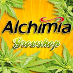 Logo for Alchimia Growshop