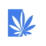 Logo for Northeastern Cannabis