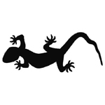 Logo for Chameleon Plasma Grow Lighting