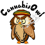 Logo for Cannabis Owl