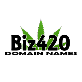 Logo for Biz420 Domain Names