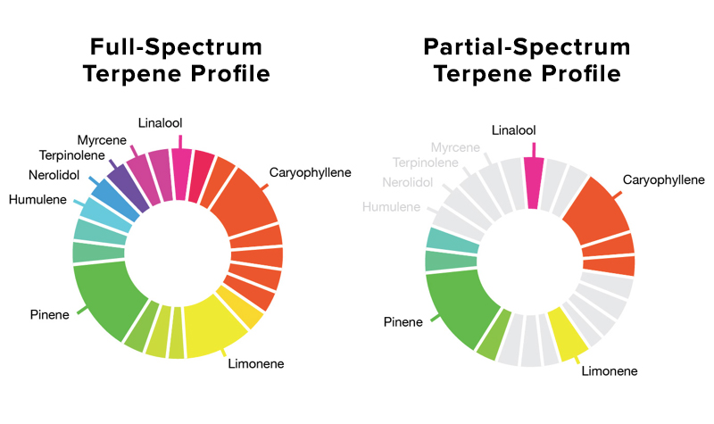 Terpene Chart