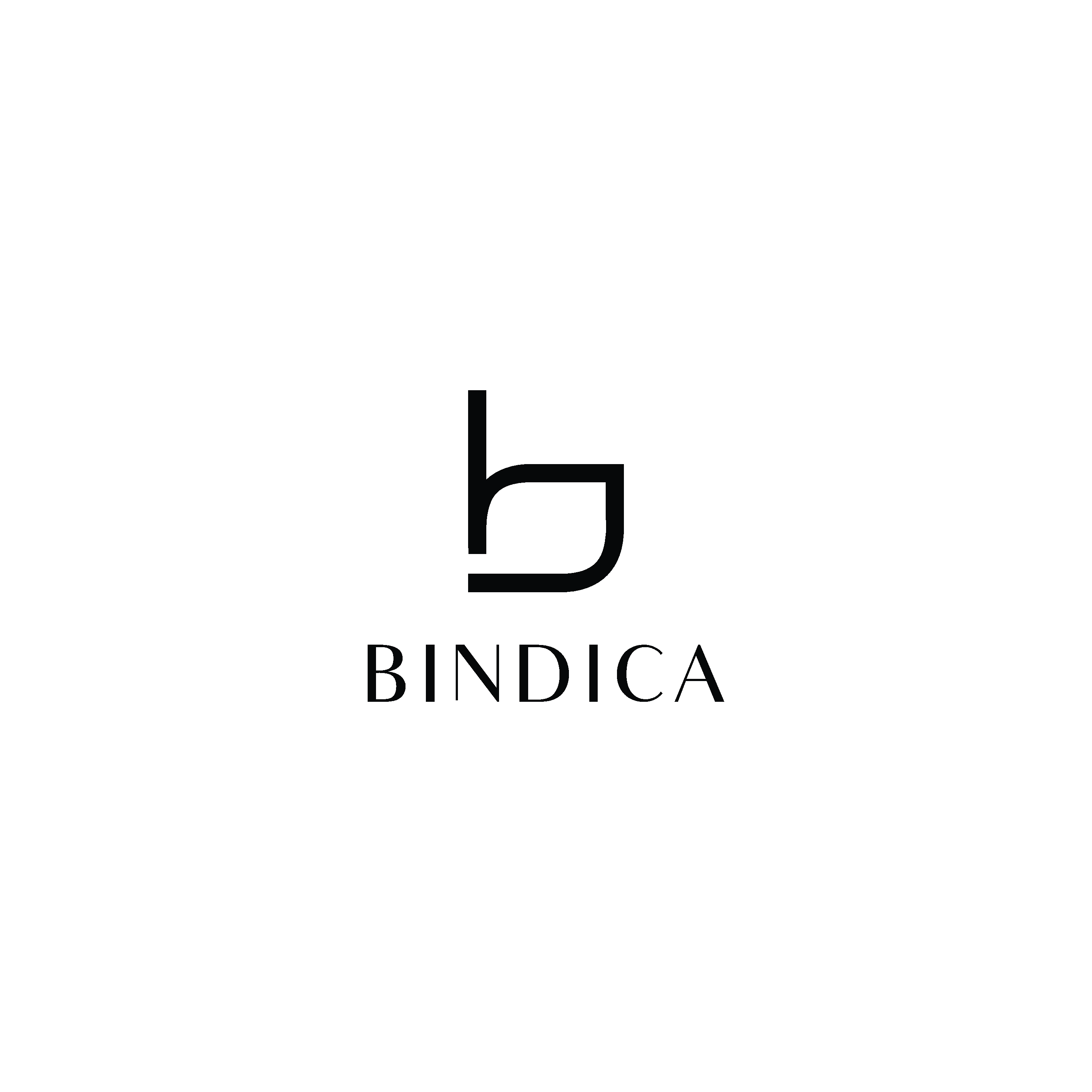 Logo for Bindica