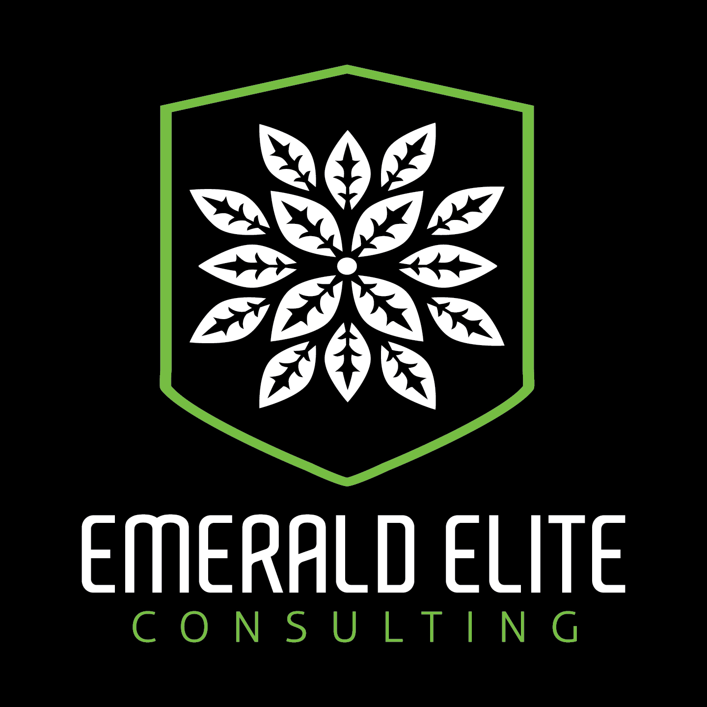 Logo for Emerald Elite Consulting