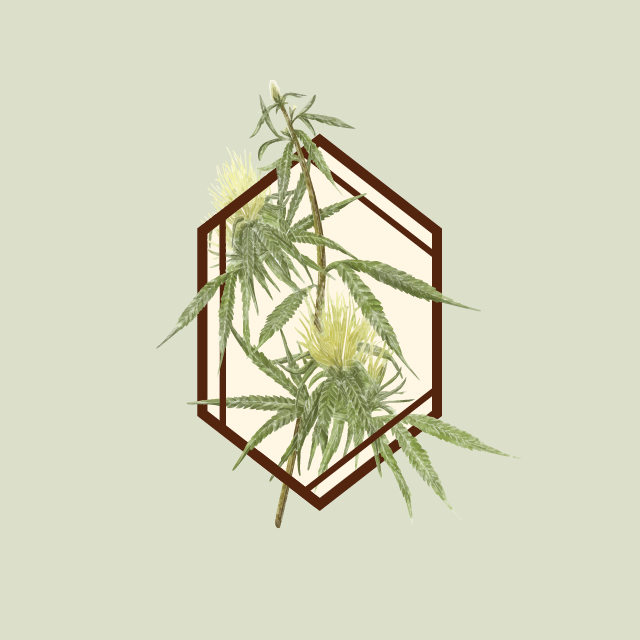 Logo for The Botanist