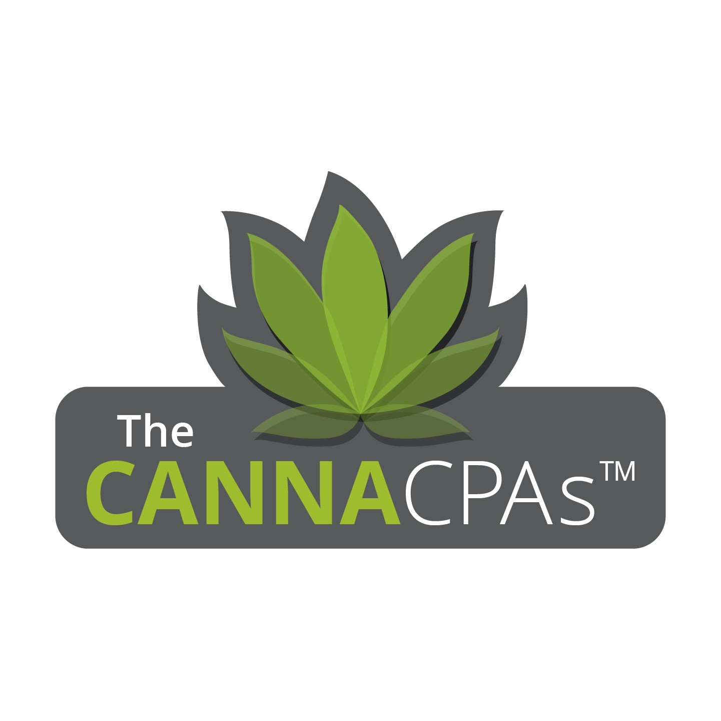 Logo for The Canna CPAs