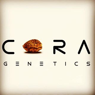 Logo for CORA Genetics