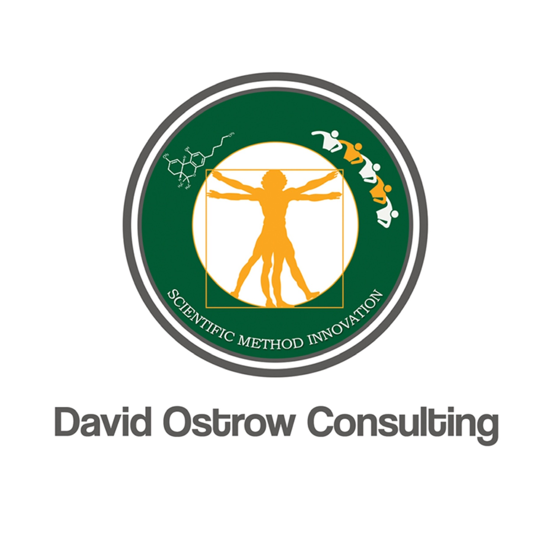 Logo for David Ostrow & Associates