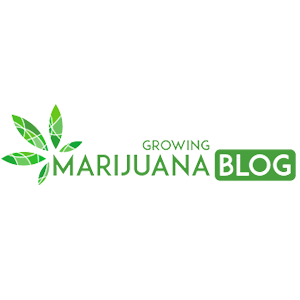 Logo for GrowingMarijuanaBlog