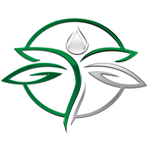 Logo for Dragonfly Wellness