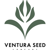 Logo for Ventura Seed Company