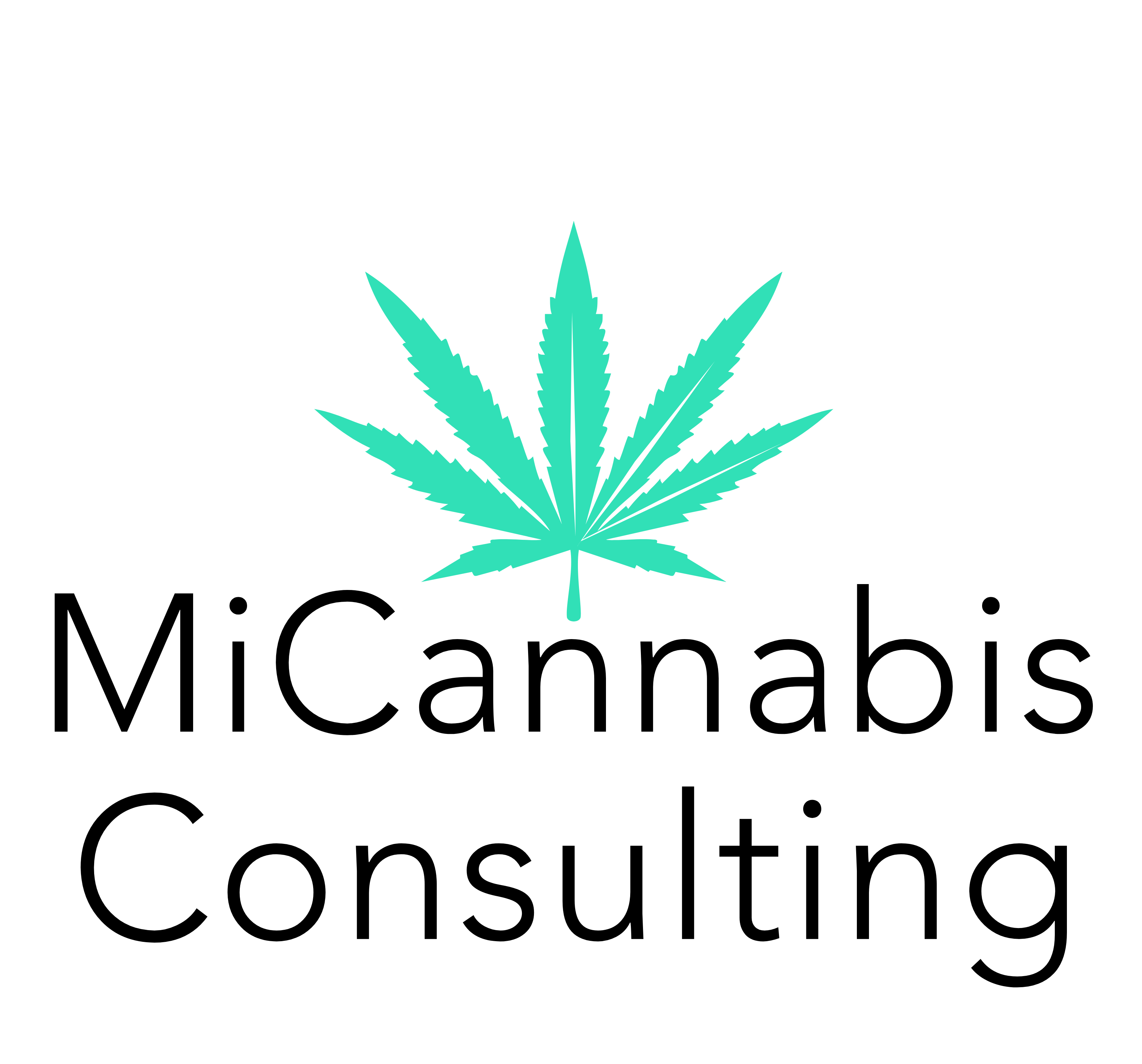 Logo for MiCannabis Consulting