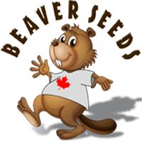 Logo for Beaver Seeds
