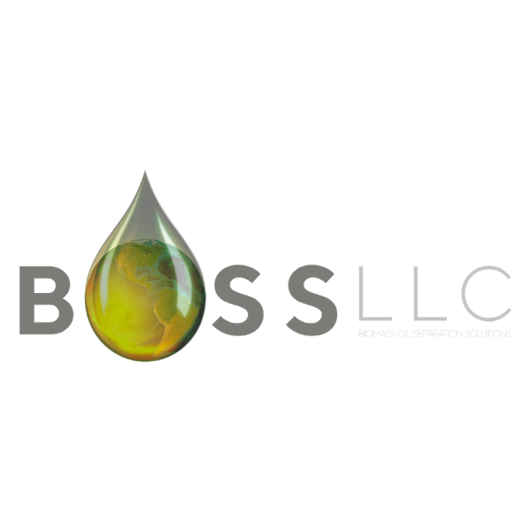 Logo for BOSS LLC